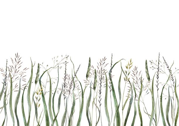 istock Realistic green grass blades of different sizes and wild plants. Botanical watercolor composition for the industry of holidays and weddings, various packaging and postcards, eco-products and textiles. 2209165572