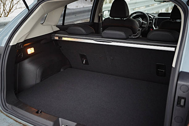 istock trunk in the car 2209168181
