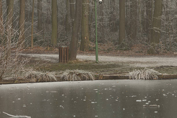 The frozen lake in Angrignon Park  Montreal, Quebec, Canada.