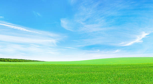 istock Summer landscape with a vast green field under a majestic sky 2209168807