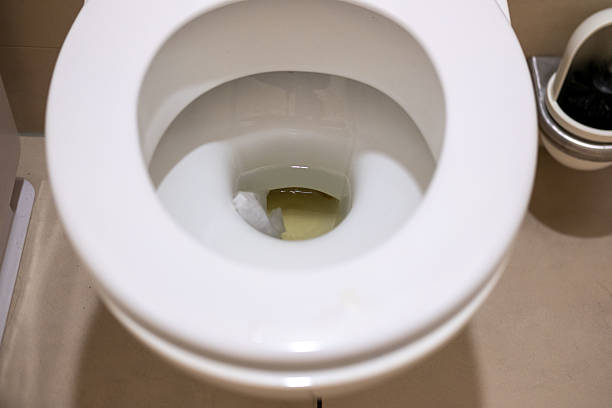 istock White toilet bowl, highlighting simple and modern design in bathroom interior, flushing water in toilet to demonstrate personal hygiene act, process flushing water, clean and well-maintained wc 2209171064