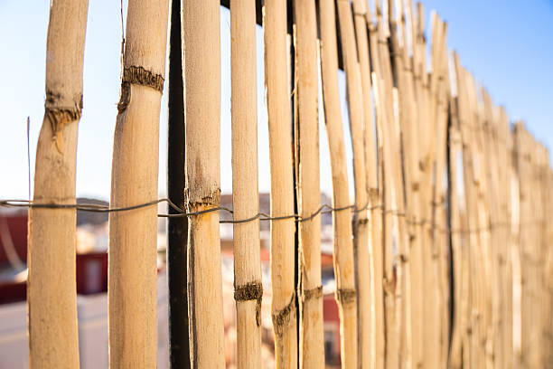 istock closeup of bamboo fence structure 2209175992