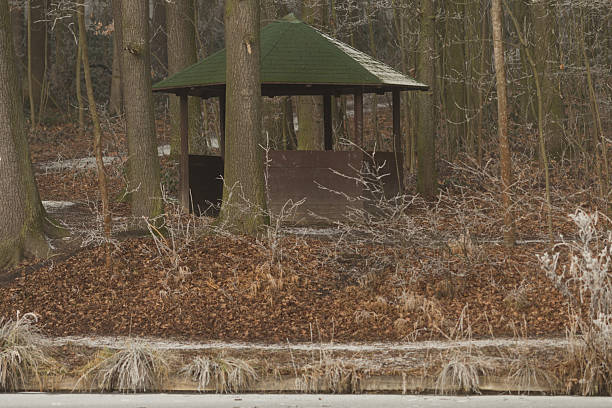 A charming gazebo is nestled within a serene wooded area, surrounded by scattered fallen leaves and sparse vegetation, evoking peace