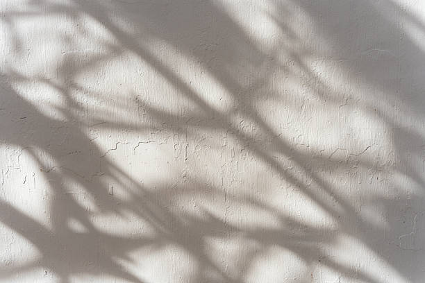 istock Uneven wall with shadows of leaves cast on it as a background. 2209184296