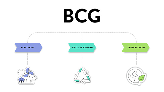Flowchart Bcg Examples Bcg Model Strategy Infographic Diagram Chart Banner Template For ...