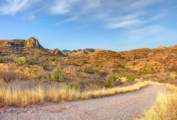 The Coronado National Forest is a United States National Forest that includes an area of about 1.78 million acres spread throughout mountain ranges in southeastern Arizona and southwestern New Mexico.
