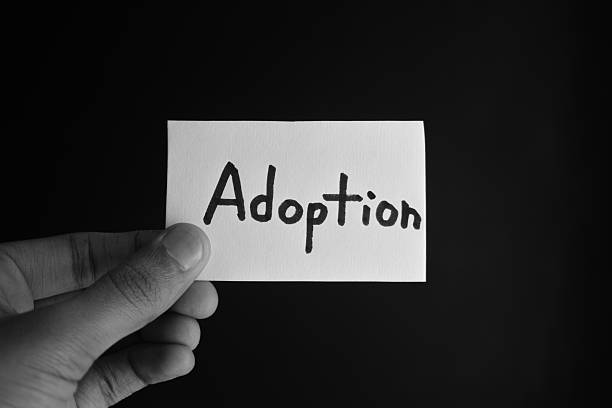 istock Hand holding a paper card with the word ADOPTION 2209195011