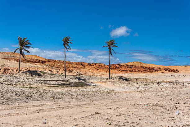 istock The rock formations at Canoa Quebrada Beach at Canoa Quebrada, state of Ceara, Brazil 2209196875