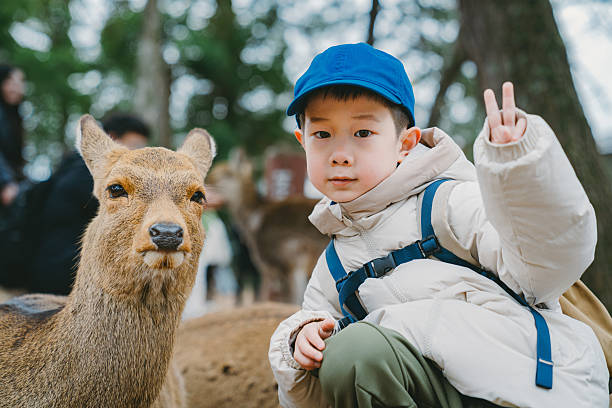 istock young boy pose with Deer in Nara park 2209197106