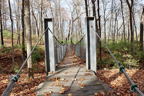 istock Front View of the Swinging Bridge 2209197539