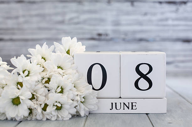 istock June 8th Calendar Blocks with White Daisies 2209199469