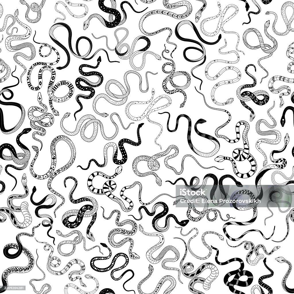 Seamless Pattern With Snakes Pattern With Handdrawn Snakes In Doodle ...