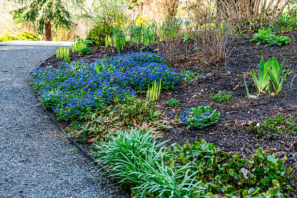 istock Bellevue Garden Blue Flowers 2209206567