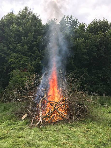 istock Bonfire In The Countryside, Northamptonshire, England 2209206597
