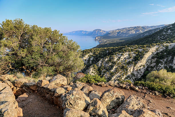 istock A rocky mountain top with a tree in the foreground 2209216108