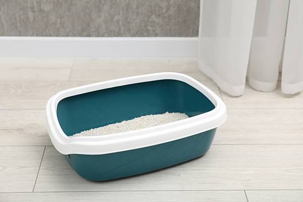 istock Cat tray with clumping litter on floor indoors 2209220005