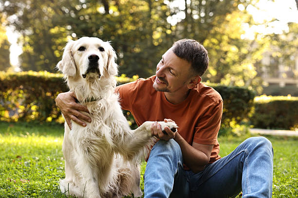 istock Smiling man with cute Golden Retriever dog on spring day 2209222865