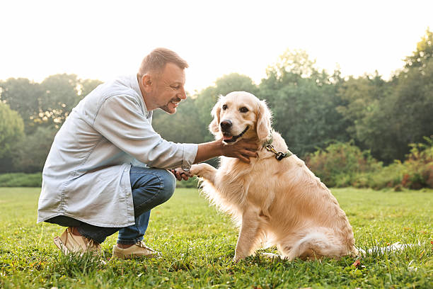 istock Smiling man with cute Golden Retriever dog on spring day 2209223075