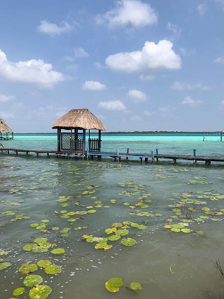 istock Turquoise coloured lagoon, Bacalar 2209229431