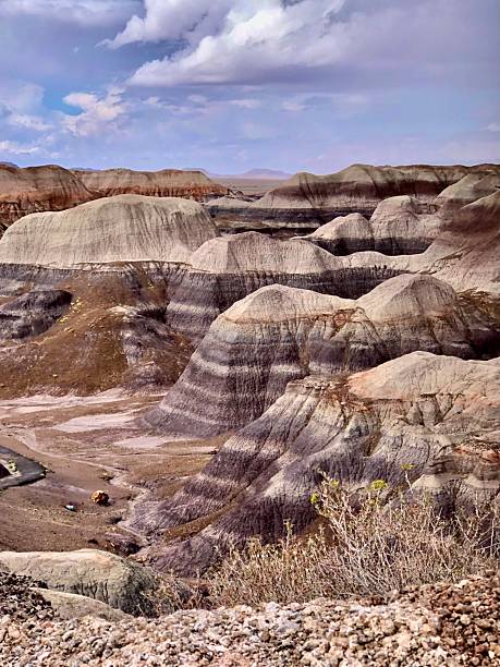 Petrified Forest National Park, Arizona