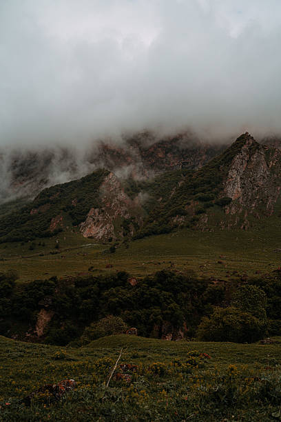 Love in the Mountains