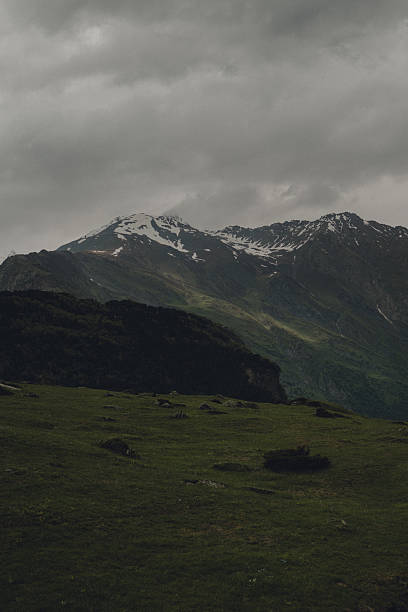 Love in the Mountains