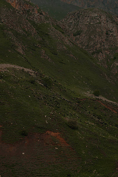 Love in the Mountains