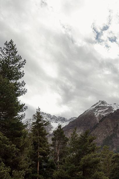 Love in the Mountains