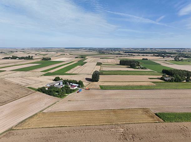 istock Rural landscape, grain mowing time, August village landscape 2209237680