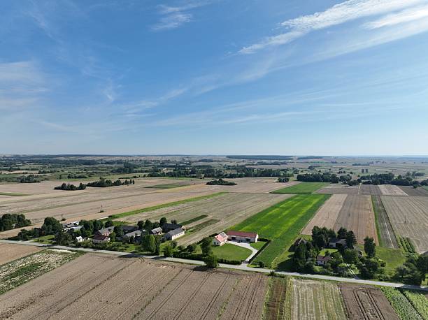 istock Rural landscape, grain mowing time, August village landscape 2209237759