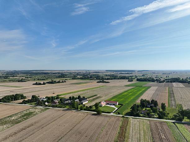 istock Rural landscape, grain mowing time, August village landscape 2209237766