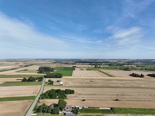 istock Rural landscape, grain mowing time, August village landscape 2209237800