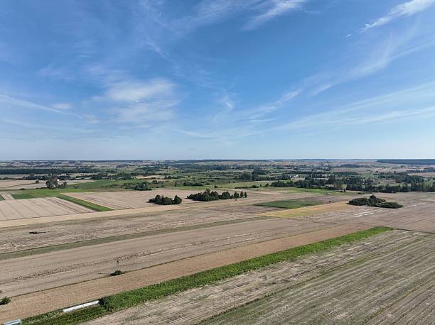 istock Rural landscape, grain mowing time, August village landscape 2209237804