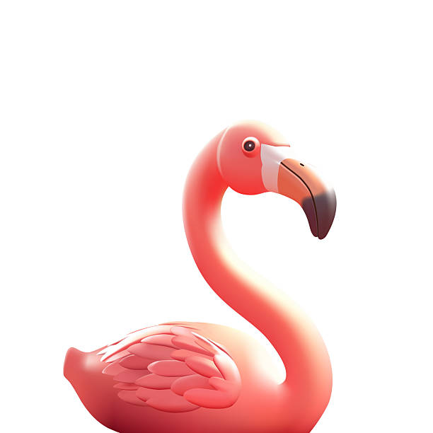 istock 3D realistic pink flamingo on a white background. Tropical, beautiful bird. Wild bird. Vector illustration 2209238342