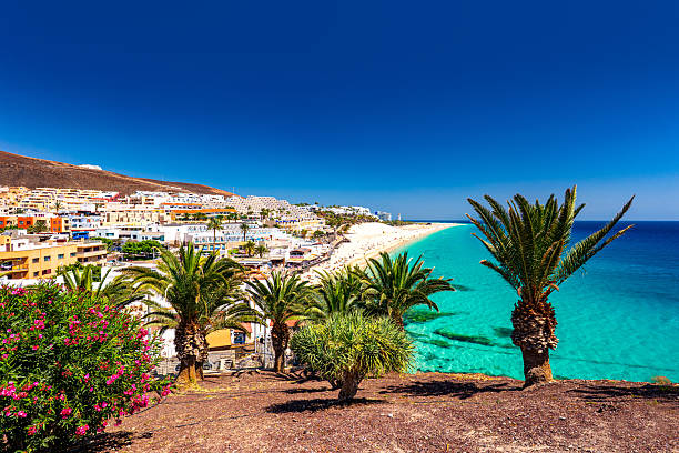 istock Morro Jable, Fuerteventura, Canary Islands 2209238596