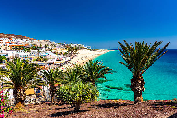 istock Morro Jable, Fuerteventura, Canary Islands 2209238600