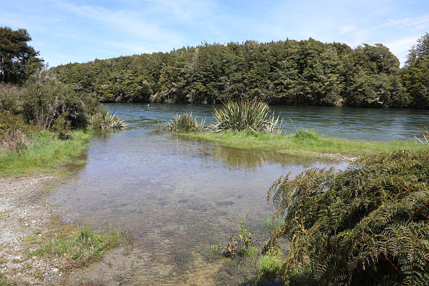 The Pelorus River near Havelock, New Zealand. Tranquil scene, clear water flowing through a rocky valley surrounded by forest and mountains
