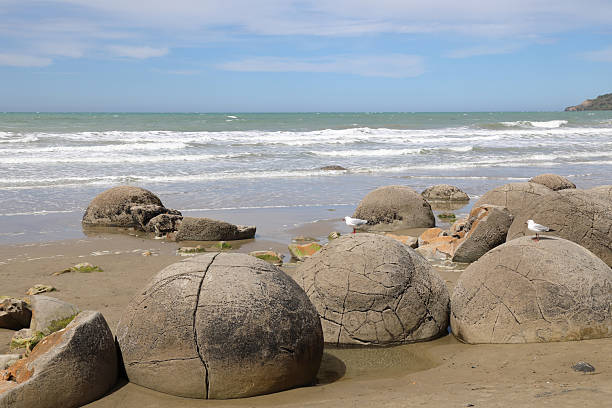 istock Moeraki Boulders / Moeraki Boulders / 2209245082
