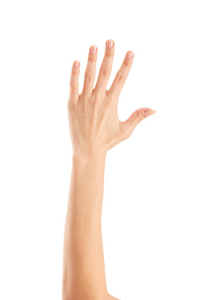 istock Woman hands on white backgrounds 2209250369