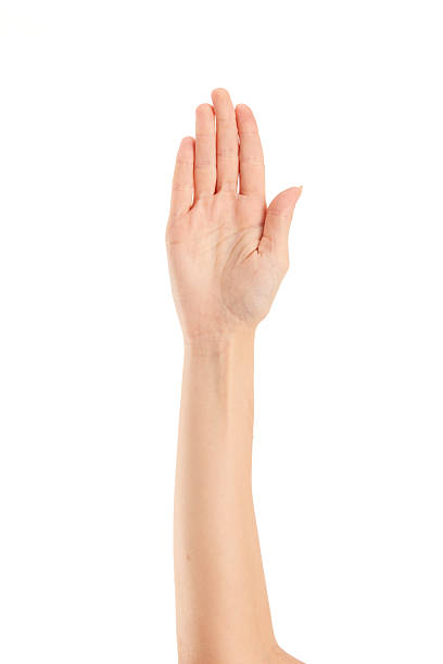 istock Woman hands on white backgrounds 2209250370