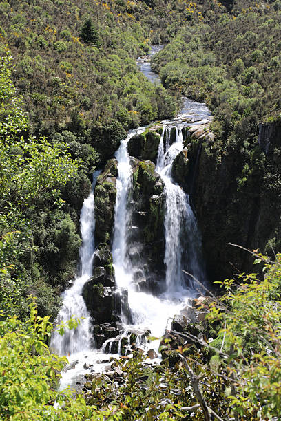 istock Waipunga Wasserfall / Waipunga Falls 2209253568