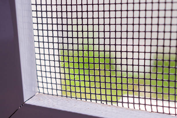 istock mosquito net wire screen on house window protection against insect 2209259274