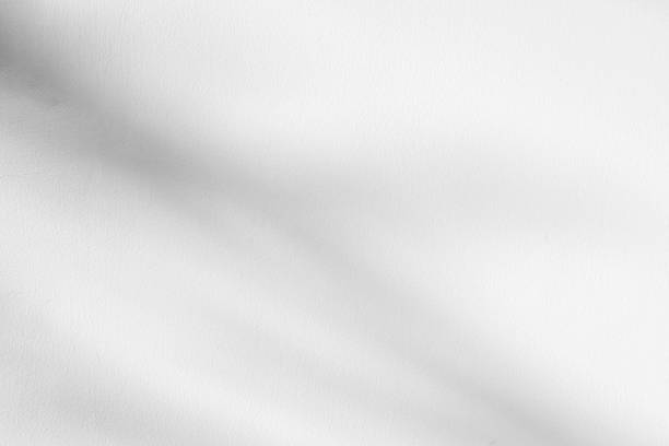 istock Abstract natural tree leaves shadow on white wall background 2209259530
