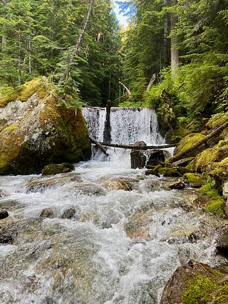 istock Rushing Waters of a Hidden Forest Waterfall 2209261348