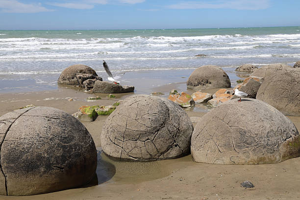 istock Moeraki Boulders / Moeraki Boulders / 2209267963