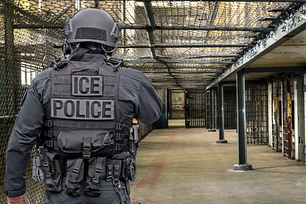 ice policía e inmigración y deportación - ice fotografías e imágenes de stock