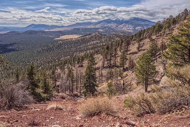 istock Humphrey's Peak viewed from O'Leary Peak AZ 2209274203