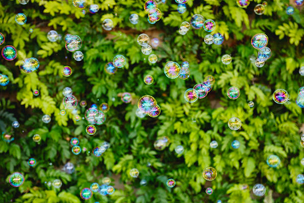 Colorful soap bubbles floating in front of leafy green background in Indian Wells, California, United States