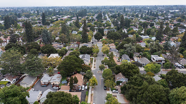 Downtown Mountain View Neighborhood and Trees