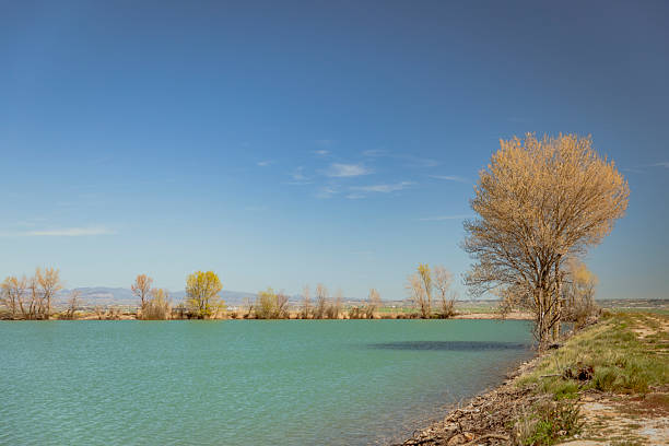 Tranquil Lake with Bare Trees and Blue Sky in Vencillón, Aragon, Spain